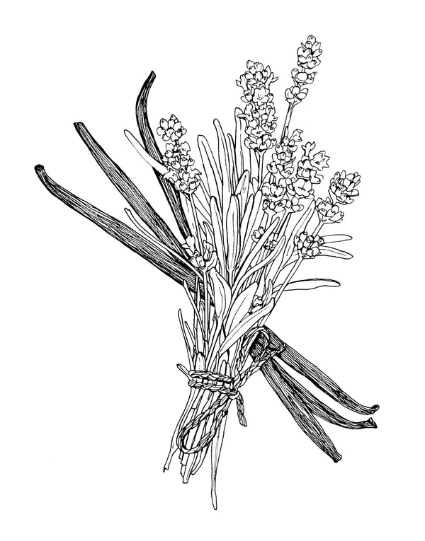 Lavender Vanilla Deodorant