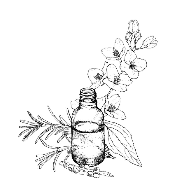 Herbal Mint Probiotic & Magnesium Deodorant