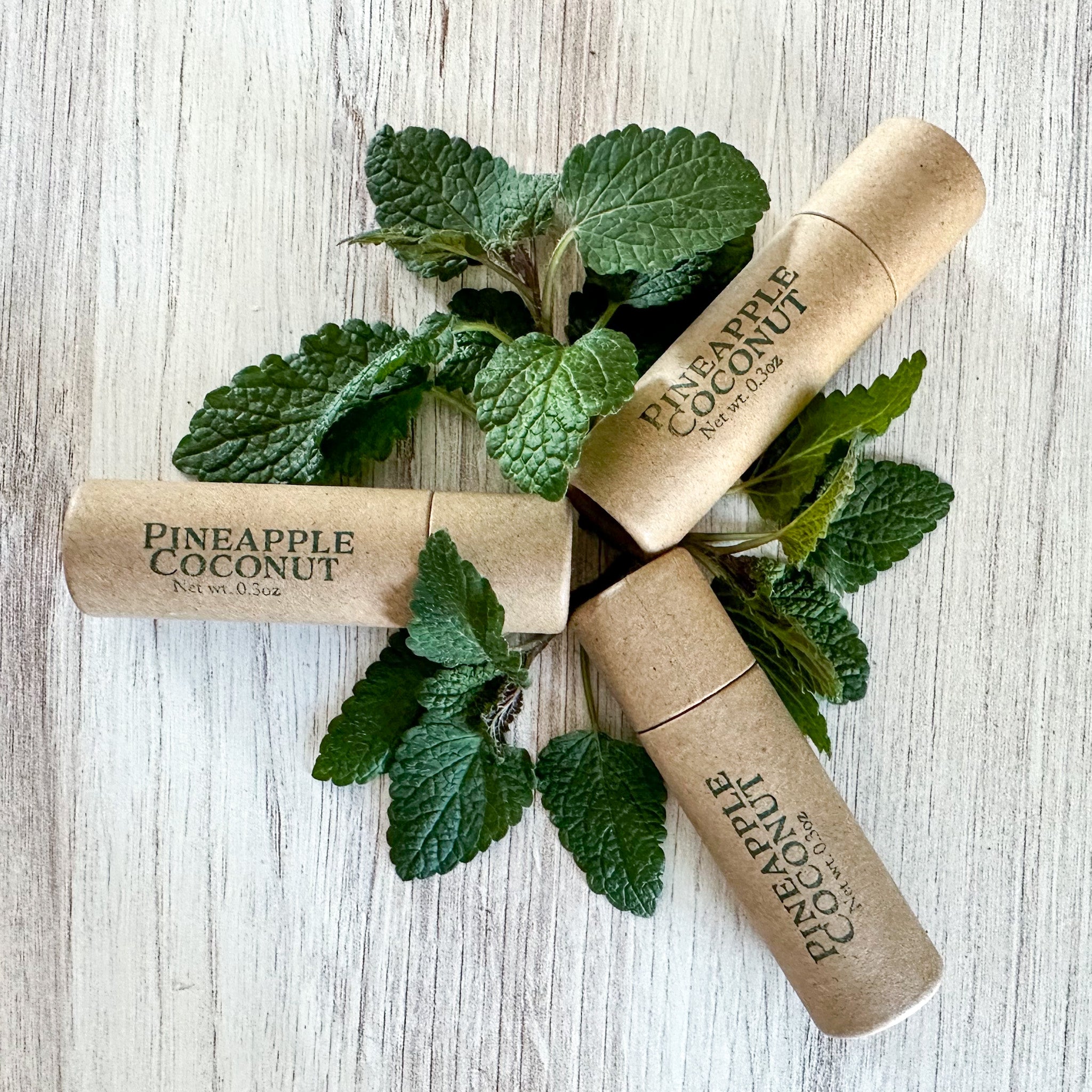 Summer Lip Balm Trio Set