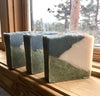 Birch Bark Shampoo