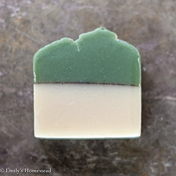 Fly Guy's Bar o' Soap