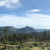 A photograph of the view from the Nice Kitty trail.
